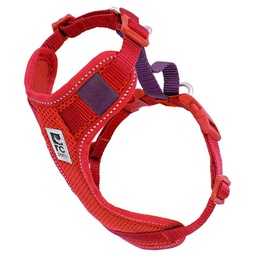 Petbarn 2024 martingale collar